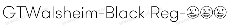 GTWalsheim-Black Reg字体转换